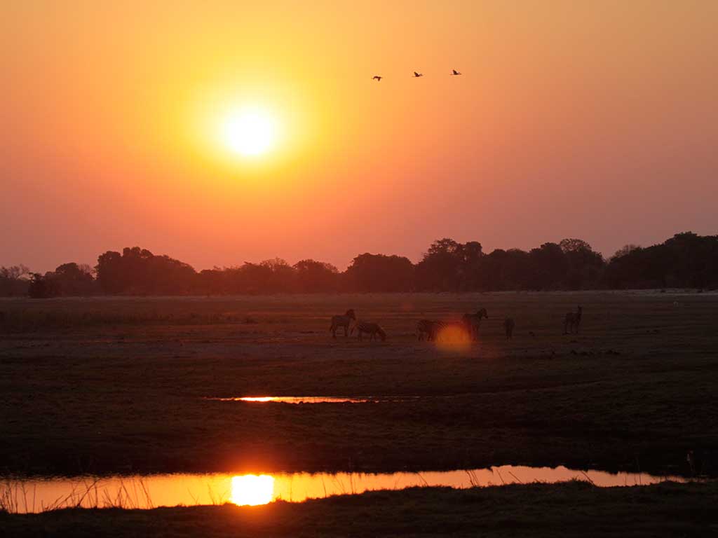 Savuti sunset on safari with Masson Safaris