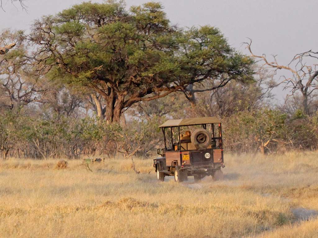 Exploring northern Botswana with Masson Safaris
